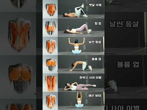 올여름 급찐급빠 다이어트 동작모음 #오운완 #급찐급빠 #홈트레이닝