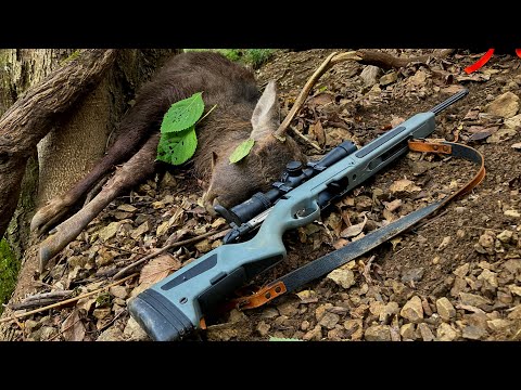 【クソデカため息】狩猟1日目に撃ったシカの料理途中データが飛んだけど意地でリカバリして肉まみれカレーとヤケ酒でキメるだけの動画