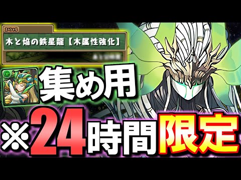 【ここが最効率】メタルスピカまだ確保していない方必見!!期間限定ダンジョンでサクっと素材を集めよう!!【パズドラ】