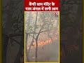 Uttarakhand के कैंची धाम मंदिर के पास जंगल में लगी भीषण आग | #shorts #shortsvideo #viralshorts - 00:41 min - News - Video