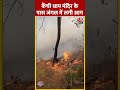 Uttarakhand के कैंची धाम मंदिर के पास जंगल में लगी भीषण आग | #shorts #shortsvideo #viralshorts