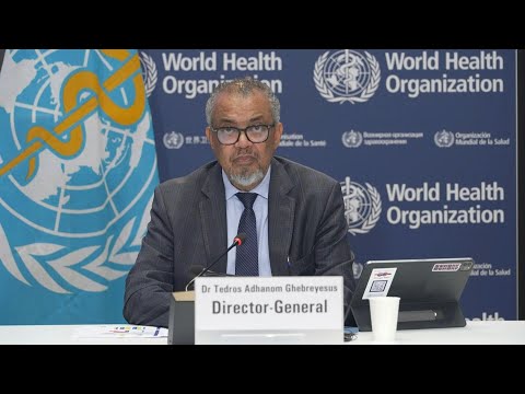 All hypotheses on Covid-19 origins 'remain on the table': WHO chief | AFP