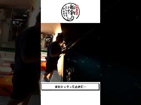 イカメタルの気持ちいいアタリの取り方