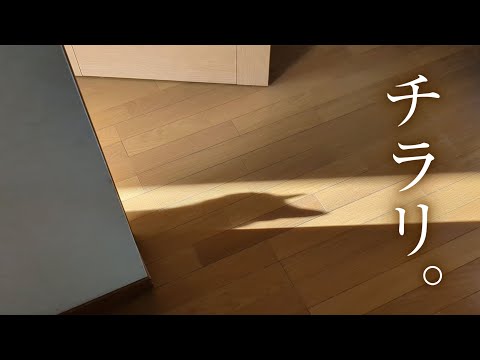 そりゃ、猫好きが世界中に溢れるわけだ。