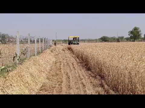 Gehu cutting machine 🙀