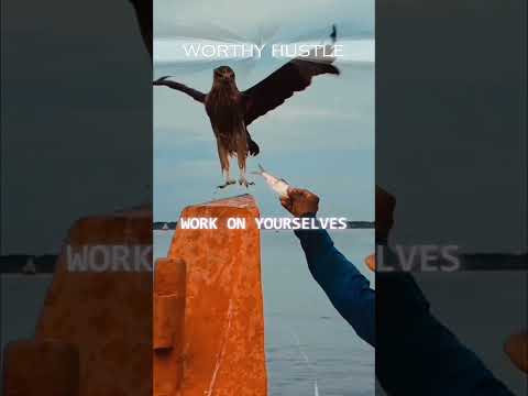 जो आज रो रहा है, कल वही चमकेगा 🌟 #cricket #upscmotvation #civilservicemotivation