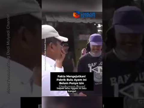 Fakta Mengejutkan! Pabrik Bulu Ayam Ini Belum Punya Izin Lingkungan Resmi#kdm #shorts #shortvideo