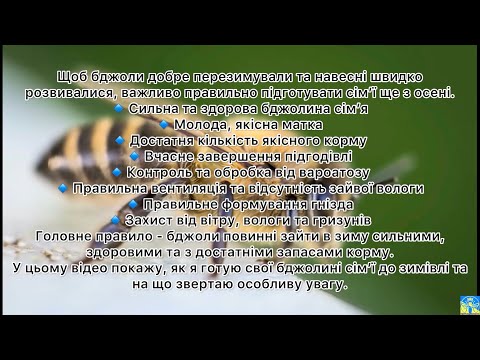 🐝 Успішна зимівля бджіл - головні моменти 🌬️❄️