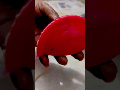 Homemade Gujhiya #food #favoritedish #shortsfeed # ytshorts 🥰❤️😋