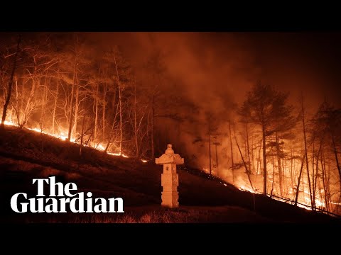 Windy weather reignites South Korea's wildfires ravaging southern regions