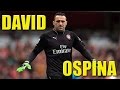 David Ospina- Amazing Saves-2015 HD