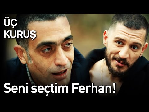 Üç Kuruş 18. Bölüm - Seni Seçtim Ferhan!