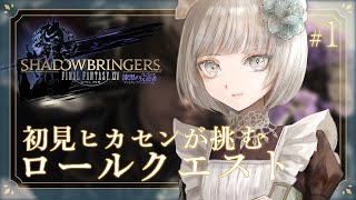 【FF14】漆黒を泣きながら走っている初見ヒカセンが走るロールクエスト