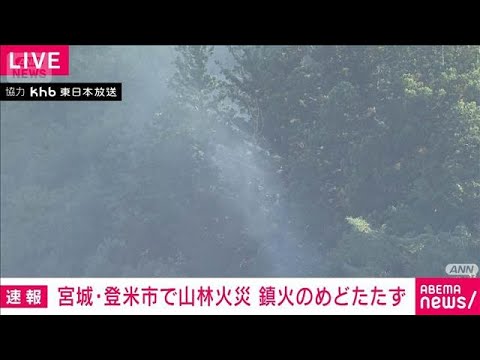 ニュースの動画サムネイル - 宮城・登米市で山火事発生　ポンプ車など15台出動も鎮火のめどたたず　地元消防(2025年7月29日)