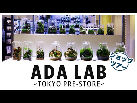 ADA LAB TOKYOの魅力を徹底紹介ショップツアー!!大丸東京にオープンした植物とパルダリウムの楽園【ADA】【パルダリウム】【水草】【ネイチャー】【アクアリウム】【植物】