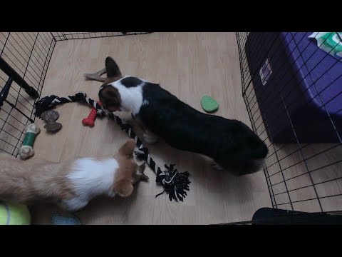 Day time play time take 2...sigh