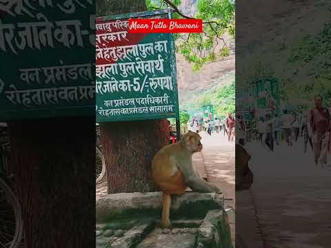 Maa tutla bhawani #temple #tutlabhawani #dham #rohtas #bihar #waterfall #status #viral #editorjkarya