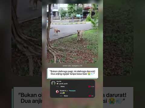 “Olahraga Pagi Gratis, Tapi Nyawanya Taruhan 😭🐶💨”