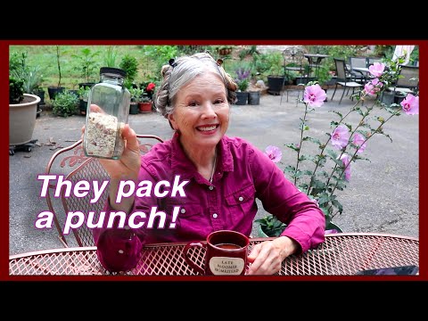 Back Deck & Mothball deterrent update, Bulbils & Butterfly