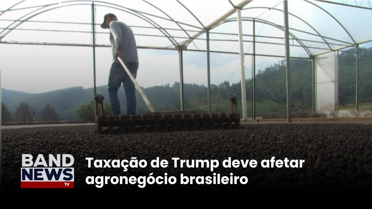 Taxação de Trump deve afetar agronegócio brasileiro | BandNews TV
