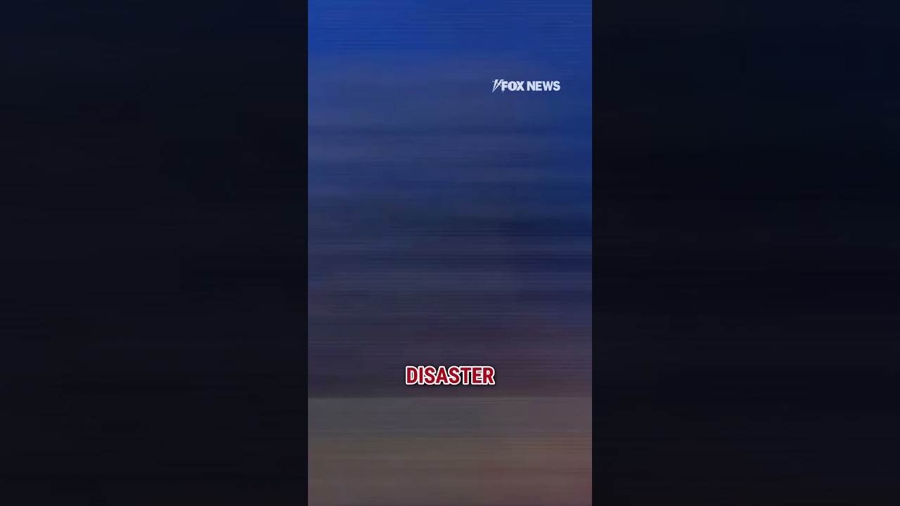 Trump issues BOLD warning after Mamdani win: 'Nightmare!' #shorts #trump #foxnews #news #politics