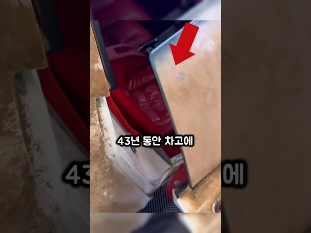 43년간 봉인된 자동차의 '숨겨진' 충격적인 비밀