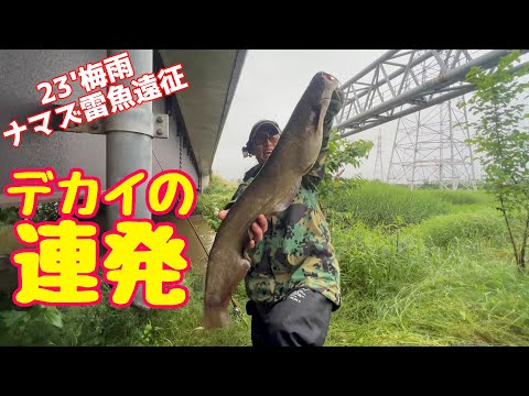 ナマズ&雷魚23'梅雨遠征2日目①【517】虫くん釣りch