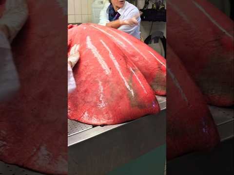 فن التقطيع #ترند_اليوتيوب #اكسبلور #مقاطع_قصيرة #اقنباسات #استكشف #ترند