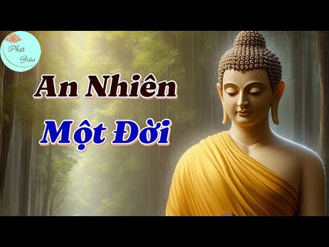 Hãy Sống Là Chính Mình Để Tìm Kiếm Hạnh Phúc Và Hoàn Thiện Bản Thân