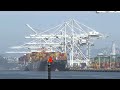The Week in Numbers: Tariffs rattle earnings season | REUTERS - 02:19 min - News - Video
