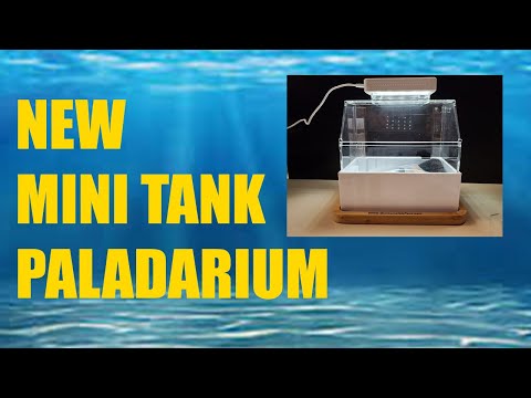 THE NEW MINI COMPLETE PALUDARIUM TANK UNBOXING han THE NEW MINI COMPLETE PALUDARIUM TANK UNBOXING hand glued version.Please subscribe  https_//www.yout