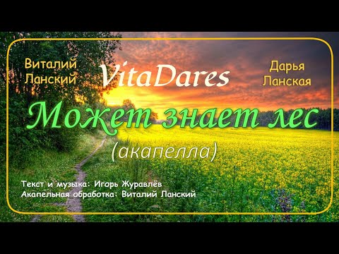 Может знает лес (акапелла cover by VitaDares)