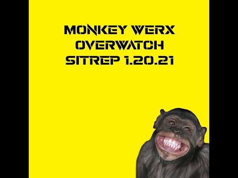 Monkey Werx Overwatch 1 20 20 SITREP
