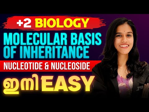 Plus Two Biology | Molecular Basis of Inheritance | Nucleotide and Nucleoside | Important Question