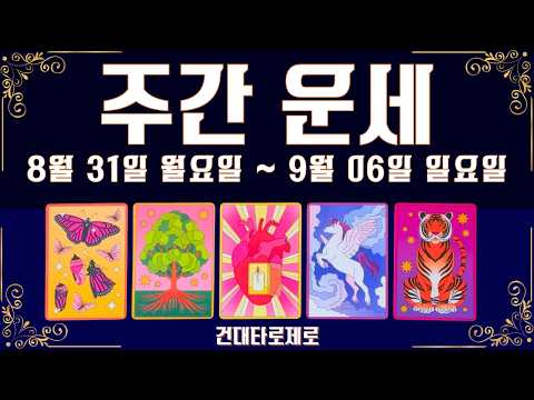 [주간 타로] 9월 첫째 주(직장 | 금전 | 시험 |계약 | 관계 | 컨디션)