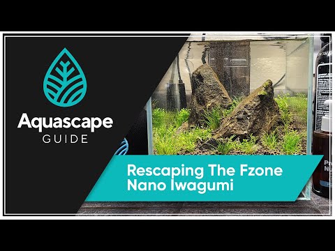 AquascapeGuide - Aquascaping the Fzone Nano Iwagum #AquascapeGuide #Aquascaping #nanotank 

In this video we talk about_ 
0_00 - Introduction
0_31 - Fa