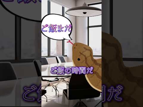 thumbnail_t6GZa9rSTYs