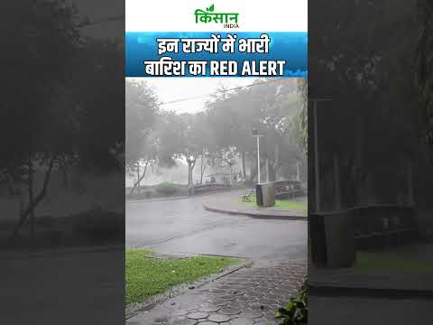 #breakingnews Weather Update: Delhi, UP, Bihar में तेज बारिश, Heavy Rain Alert #monsoon #shorts