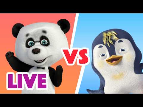 🔴 LIVE! 瑪莎與熊 - 🐼 熊貓對決企鵝 🆚🐧 | Masha and The Bear