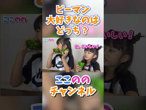 ピーマンまるかじり🫑#ピーマン#ピーマン丸かじり#ここのの#twins#双子