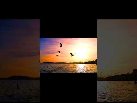 Do you see a picture that your mind relax?🥰🥰🥰 #youtubeshorts #viral #picture #creativedesignbyssd