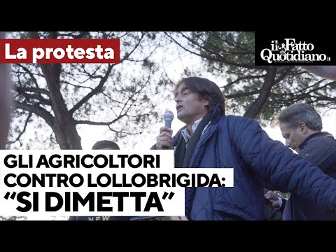 La rabbia degli agricoltori contro il ministro Lollobrigida: "Si dimetta". Critiche a Coldiretti