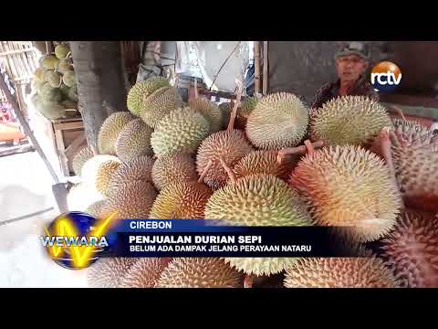 Penjualan Durian Sepi