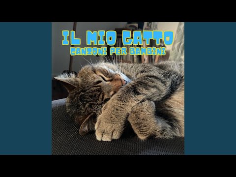 Il Gattino Sulla Tastiera (Kitten On The Keys) (2005 Digital Remaster)