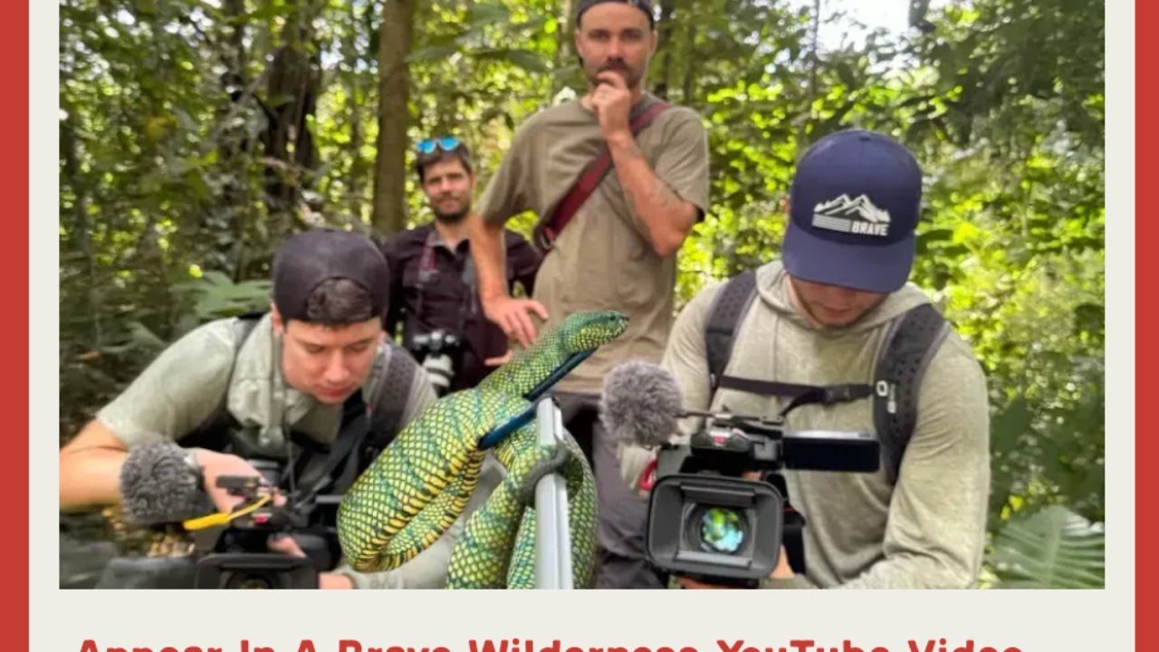 Be in a Brave Wilderness video!