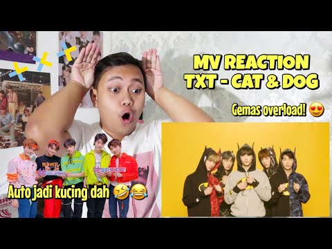 MV REACTION #73 - TXT