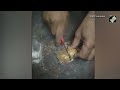 Tamil Nadu News | Tiruchirappalli Customs Officials seize gold worth Rs 70 lakh  - 01:06 min - News - Video