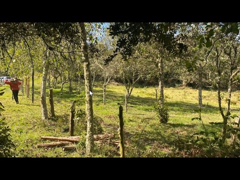 Finca en Venta con Bosque y Reservorios – Ideal para Invertir en Bienes Raíces y Proyecto De Turismo