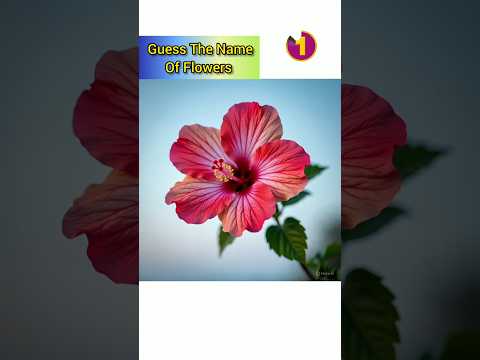 Can You Guess The Name Of Flowers🥀#shorts #ytshorts#puzzle