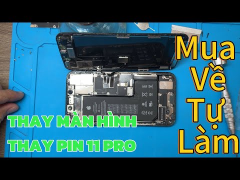 Hướng Dẫn Thay Màn Hình Iphone 11 pro